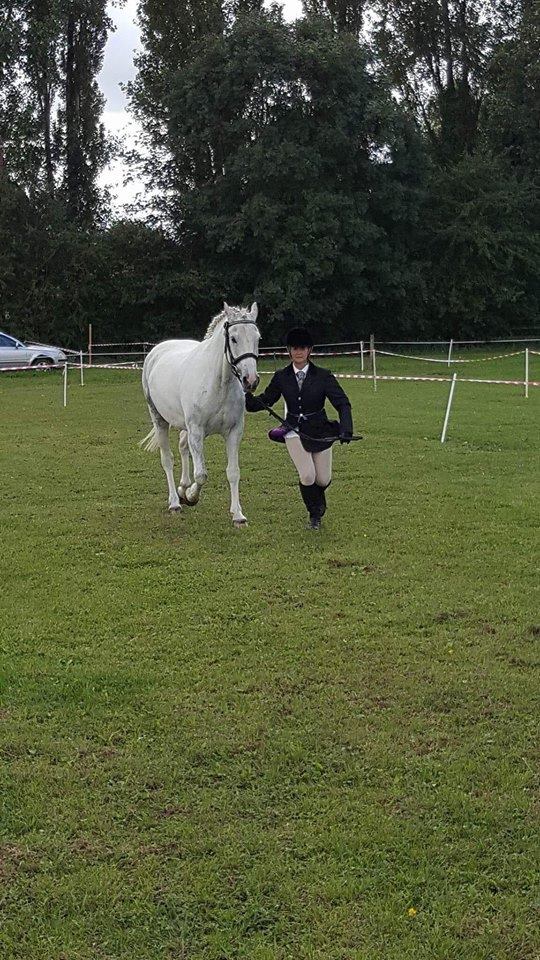 Little P Going Out and Winning Rosettes